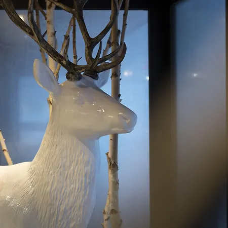 Mgm & Residences - Le Cristal De Jade Hotel apartamentowy Chamonix